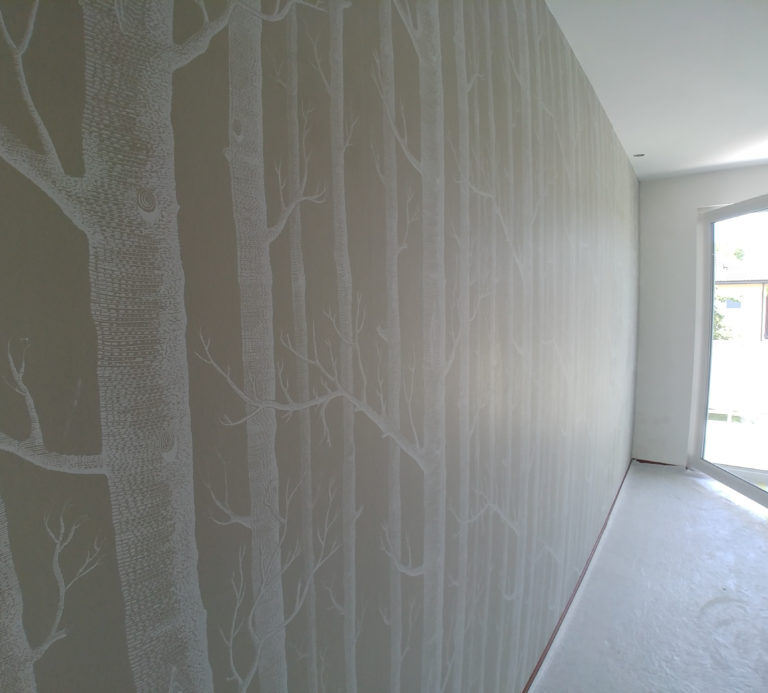 Revêtements muraux à Lyon, papiers peints
