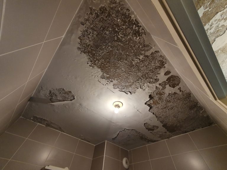 Sinistre et dégât des eaux à Brignais