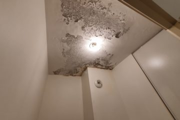 peinture écaillée et moisie lyon sud